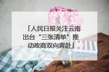 人民日报关注云南出台“三张清单”推动政商双向奔赴