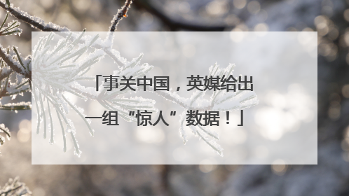 事关中国，英媒给出一组“惊人”数据！