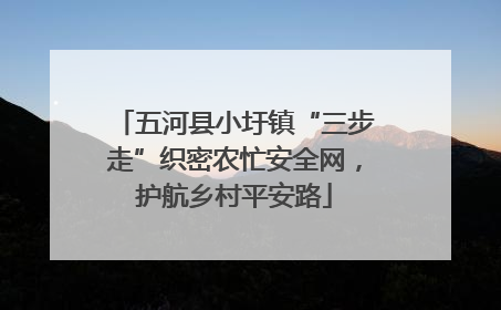 五河县小圩镇“三步走”织密农忙安全网，护航乡村平安路