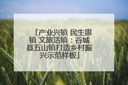 产业兴镇 民生惠镇 文旅活镇：谷城县五山镇打造乡村振兴示范样板