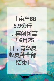 亩产886.9公斤，再创新高！6月25日，青岛夏收夏种全部结束