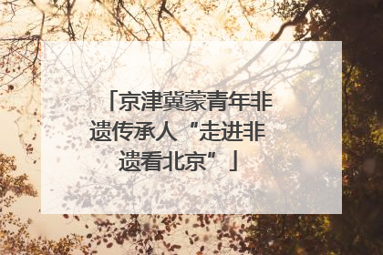 京津冀蒙青年非遗传承人“走进非遗看北京”