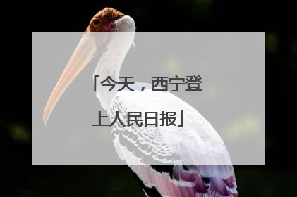 今天，西宁登上人民日报