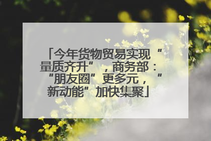 今年货物贸易实现“量质齐升”，商务部：“朋友圈”更多元，“新动能”加快集聚