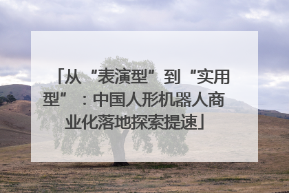 从“表演型”到“实用型”：中国人形机器人商业化落地探索提速