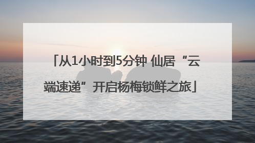 从1小时到5分钟 仙居“云端速递”开启杨梅锁鲜之旅