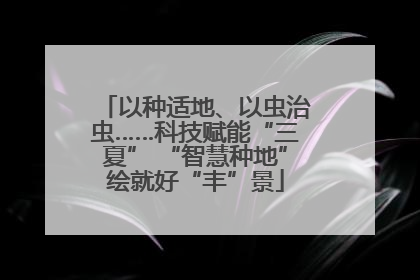 以种适地、以虫治虫……科技赋能“三夏” “智慧种地”绘就好“丰”景