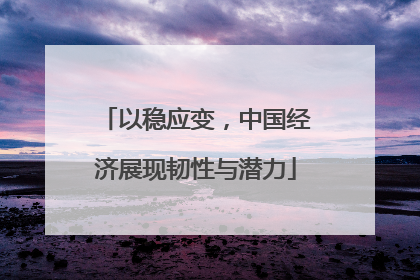 以稳应变，中国经济展现韧性与潜力