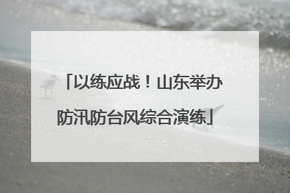 以练应战！山东举办防汛防台风综合演练