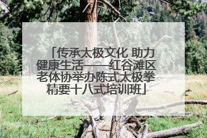 传承太极文化 助力健康生活——红谷滩区老体协举办陈式太极拳精要十八式培训班