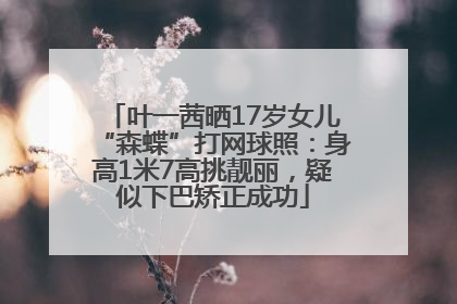 叶一茜晒17岁女儿“森蝶”打网球照：身高1米7高挑靓丽，疑似下巴矫正成功