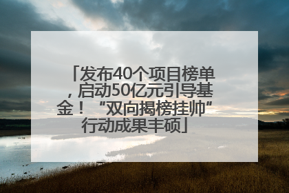 发布40个项目榜单，启动50亿元引导基金！“双向揭榜挂帅”行动成果丰硕
