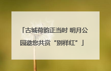 古城荷韵正当时 明月公园邀您共赏“别样红”