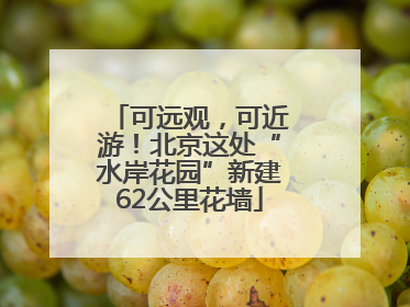 可远观，可近游！北京这处“水岸花园”新建62公里花墙