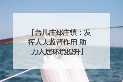 台儿庄邳庄镇：发挥人大监督作用 助力人居环境提升