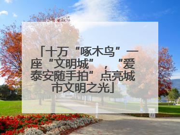 十万“啄木鸟”一座“文明城”，“爱泰安随手拍”点亮城市文明之光