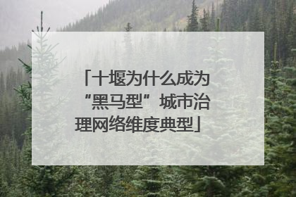 十堰为什么成为“黑马型”城市治理网络维度典型