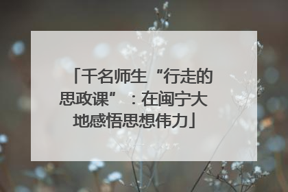 千名师生“行走的思政课”：在闽宁大地感悟思想伟力