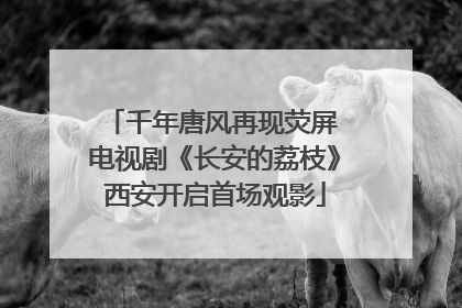 千年唐风再现荧屏 电视剧《长安的荔枝》西安开启首场观影