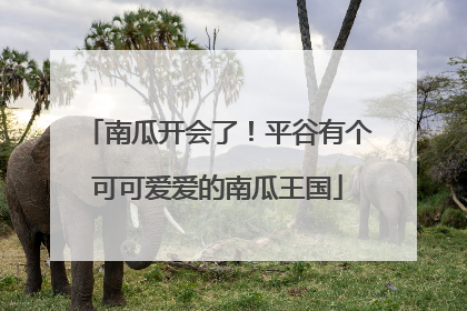 南瓜开会了！平谷有个可可爱爱的南瓜王国