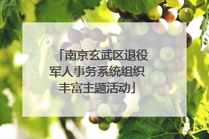 南京玄武区退役军人事务系统组织丰富主题活动