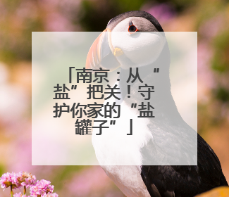 南京：从“盐”把关！守护你家的“盐罐子”