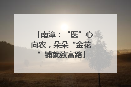 南漳：“医”心向农，朵朵“金花”铺就致富路