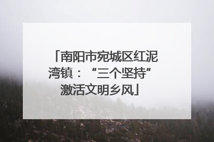 南阳市宛城区红泥湾镇：“三个坚持”激活文明乡风
