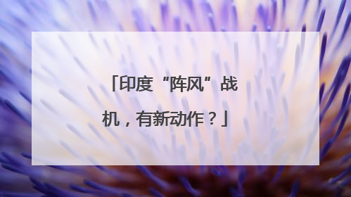 印度“阵风”战机，有新动作？