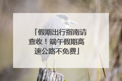 假期出行指南请查收！端午假期高速公路不免费