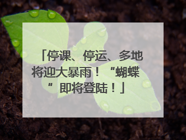 停课、停运、多地将迎大暴雨！“蝴蝶”即将登陆！
