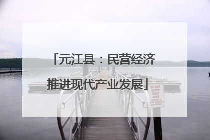 元江县：民营经济推进现代产业发展