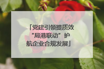 党建引领提质效 “局港联动”护航企业合规发展