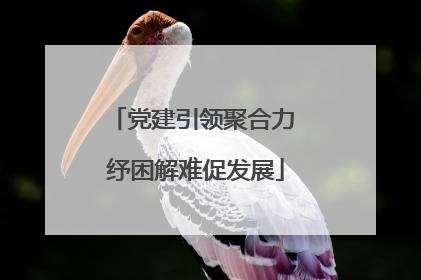 党建引领聚合力 纾困解难促发展