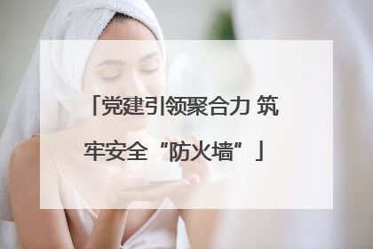 党建引领聚合力 筑牢安全“防火墙”