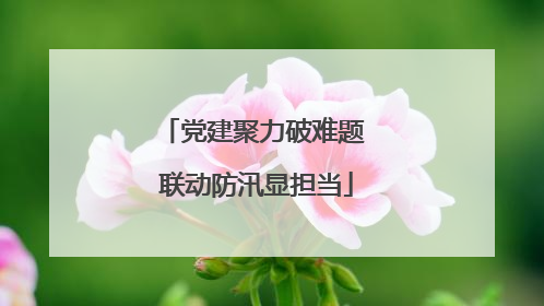 党建聚力破难题 联动防汛显担当