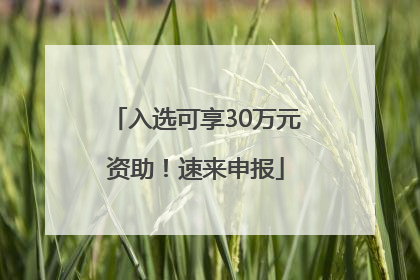 入选可享30万元资助！速来申报