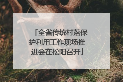 全省传统村落保护利用工作现场推进会在松阳召开