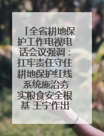 全省耕地保护工作电视电话会议强调：扛牢责任守住耕地保护红线 系统施治夯实粮食安全根基 王宁作出批示 王予波出席并讲话