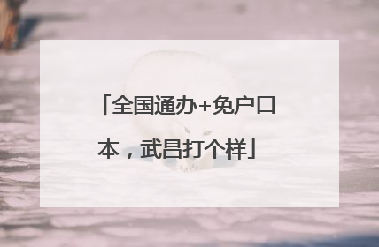 全国通办+免户口本，武昌打个样