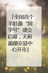 全国首个羊肚菌“国字号”盛会启幕，天府菌都交易中心开市