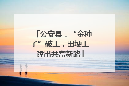 公安县：“金种子”破土，田埂上蹚出共富新路