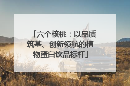 六个核桃：以品质筑基、创新领航的植物蛋白饮品标杆