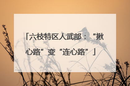 六枝特区人武部：“揪心路”变“连心路”