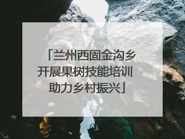 兰州西固金沟乡开展果树技能培训 助力乡村振兴