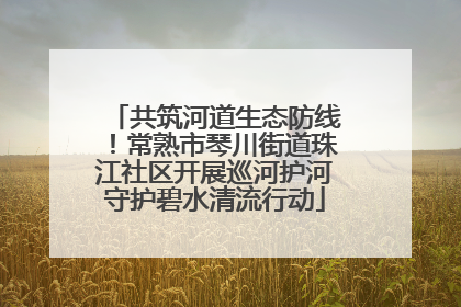 共筑河道生态防线！常熟市琴川街道珠江社区开展巡河护河守护碧水清流行动