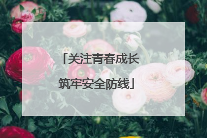关注青春成长 筑牢安全防线