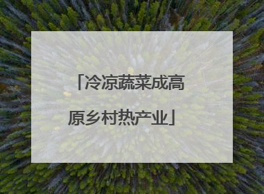 冷凉蔬菜成高原乡村热产业