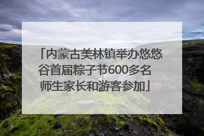 内蒙古美林镇举办悠悠谷首届粽子节600多名师生家长和游客参加