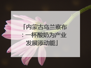 内蒙古乌兰察布：一杯酸奶为产业发展添动能